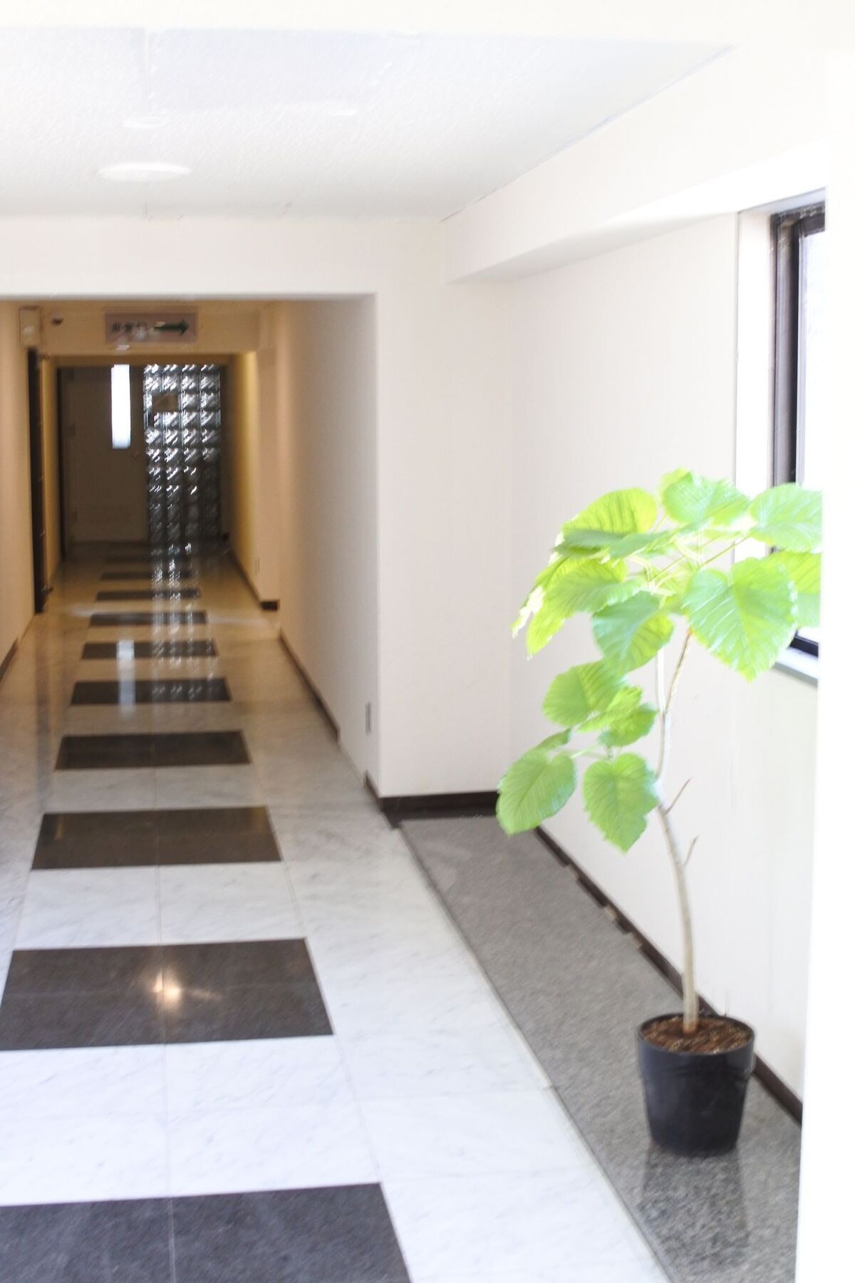 Kagoshima Guest House M104 - Hostel Exterior photo